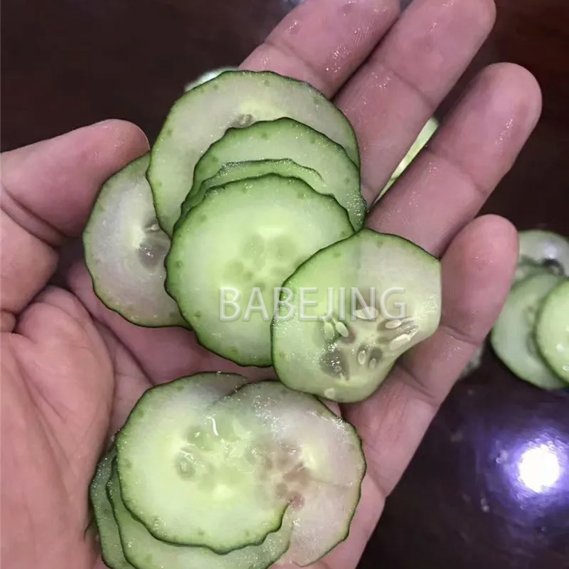 Electric Mini Scallion Chopper - đánh giá và giá Kitchen Appliances Commercial